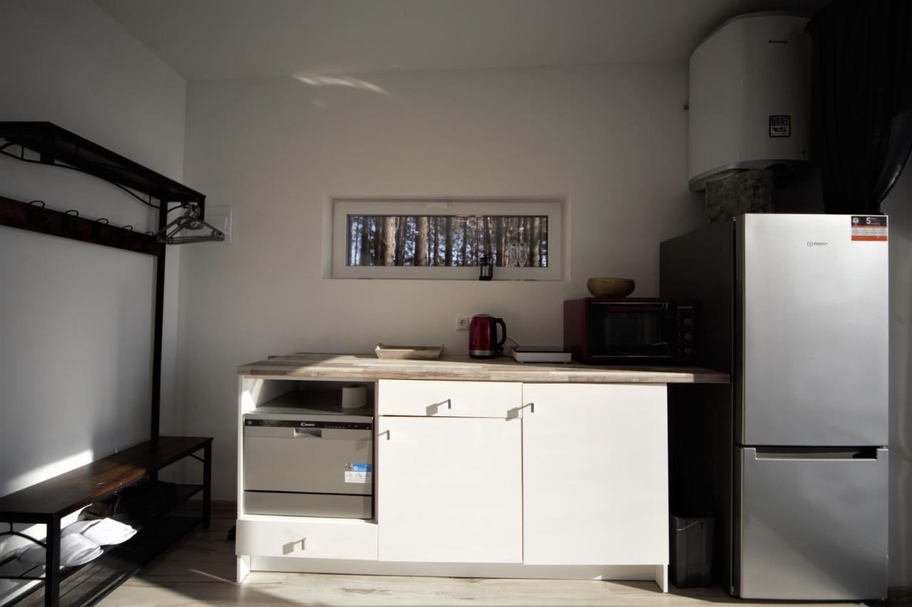 Gauja  Gaujaclub - Our Bose And Bang&Olufsen Lofts On A Lake מראה חיצוני תמונה