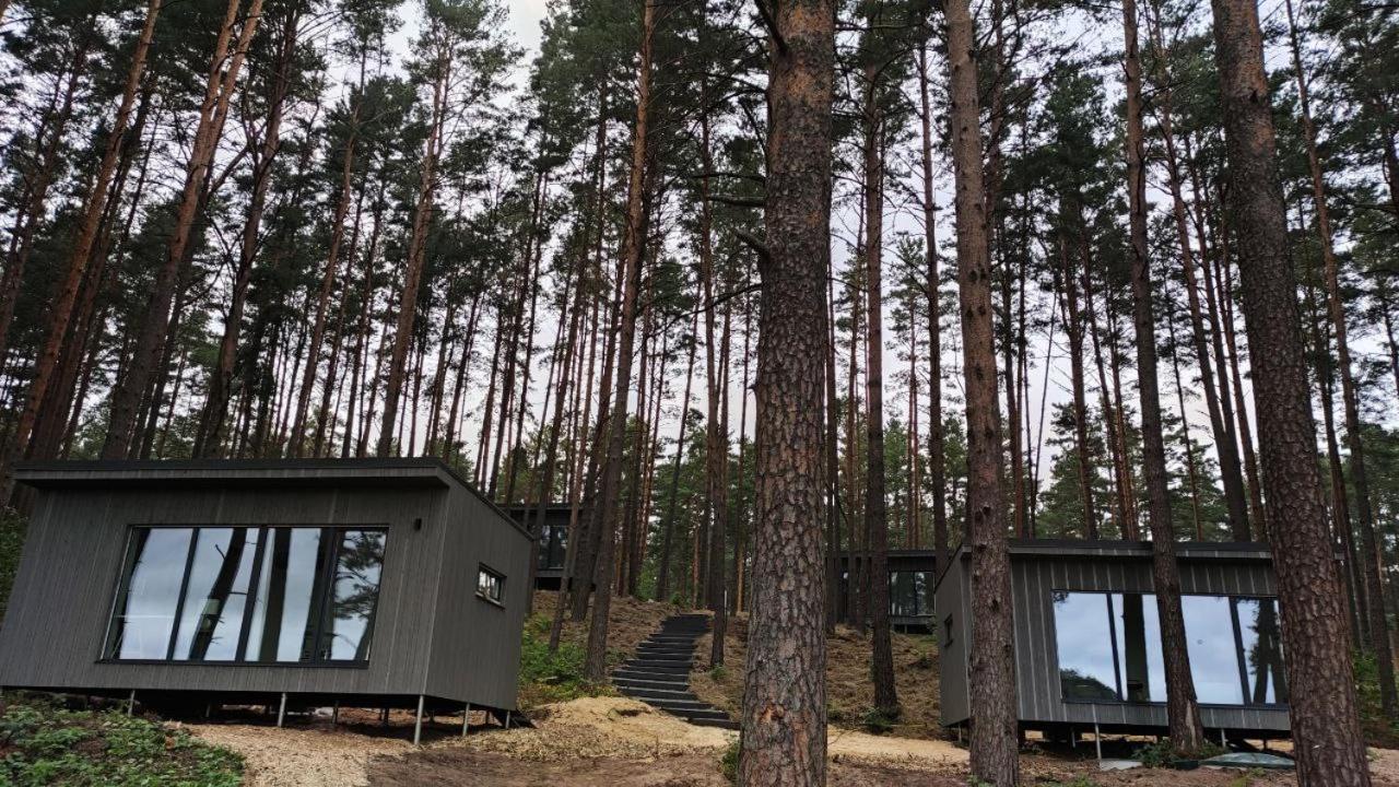 Gauja  Gaujaclub - Our Bose And Bang&Olufsen Lofts On A Lake מראה חיצוני תמונה