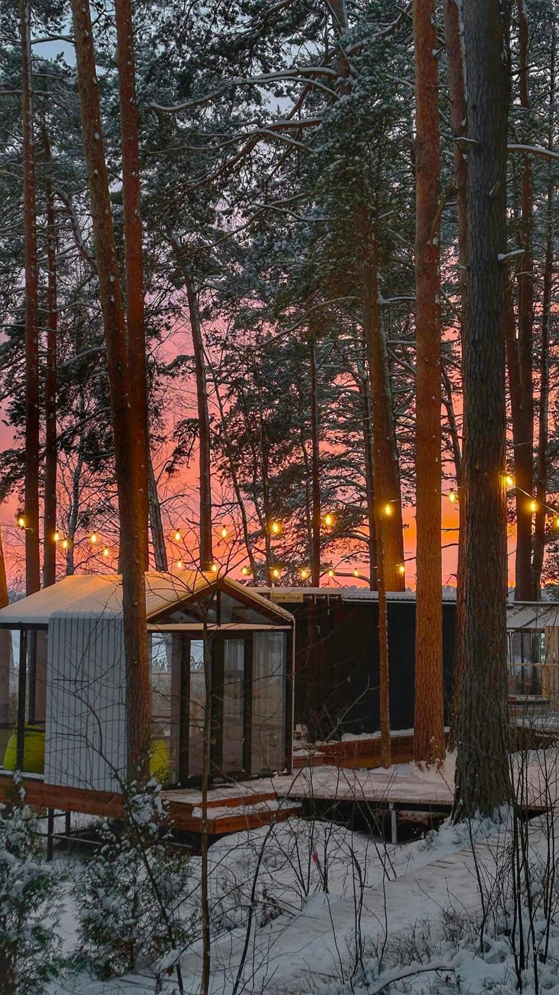 Gauja  Gaujaclub - Our Bose And Bang&Olufsen Lofts On A Lake מראה חיצוני תמונה