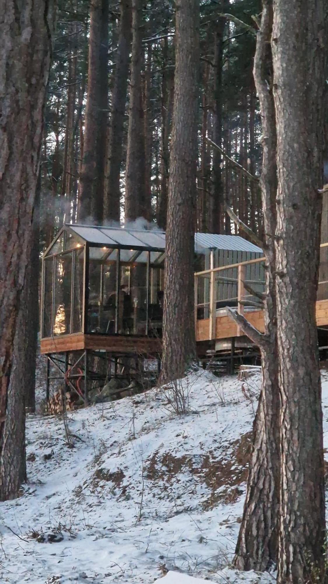 Gauja  Gaujaclub - Our Bose And Bang&Olufsen Lofts On A Lake מראה חיצוני תמונה