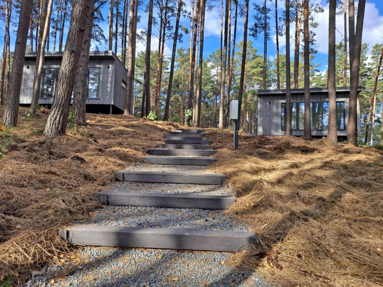 Gauja  Gaujaclub - Our Bose And Bang&Olufsen Lofts On A Lake חדר תמונה